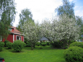Huoneisto omenapuiden katveessa, Kankaanpää